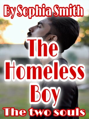 cover image of The Homeless Boy